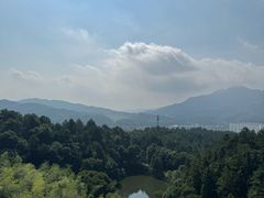 -庐山风景名胜区-东林大佛