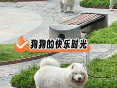 -兰岛广场(白沙路店)
