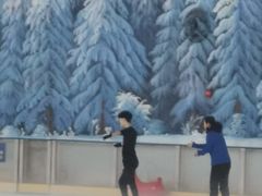 -世界之窗阿尔卑斯冰雪世界