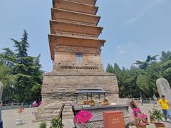 -洛阳白马寺