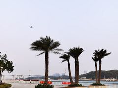 -海沧湾公园