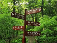 -岳麓山风景名胜区