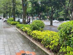 -金山公园