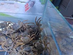 -聚盛源蒸汽海鲜火锅烤肉自助(巨川金海岸购物广场店)