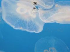 -常州海昌海洋探索馆