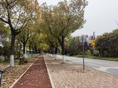 -上海交通大学(闵行校区)