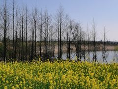 -梁子湖东篱老屋生态庄园