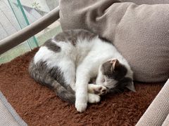 -郭师傅冰稀饭(人民路店)