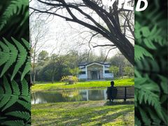 -上海共青森林公园