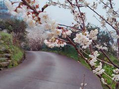 -樱桃山旅游景区
