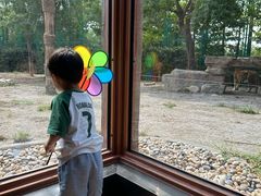 -上海野生动物园老虎餐厅