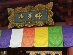 -新加坡佛牙寺龙华院