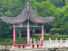 -青龙山国家森林公园