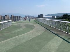 -飞凤山奥体公园