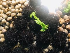 -海味当家·蒸锅海鲜(星海公园店)
