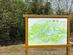 -大塘金香草谷