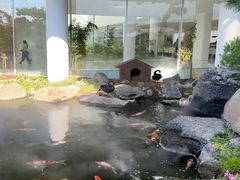 -罗红摄影艺术馆