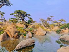 -罗红摄影艺术馆