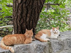 -水峪民俗村
