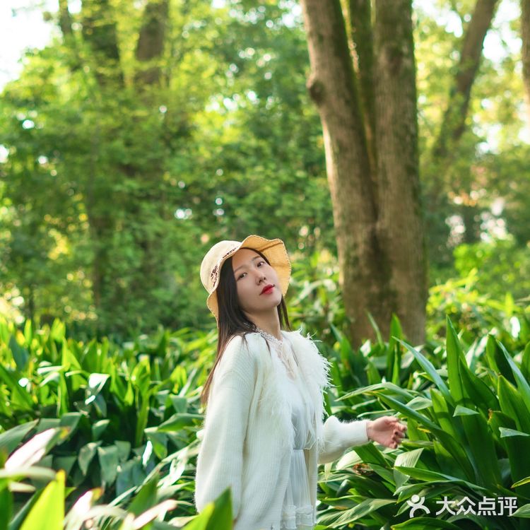 武汉植物园里的绿野仙踪