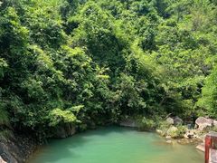 -广州白江湖森林公园