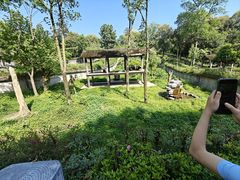 -中国大熊猫保护研究中心雅安碧峰峡基地