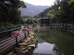 -月亮湾公园