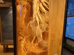 -长寿参鸡汤(朝韩风情街店)