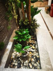 -芳朵美容养生SPA