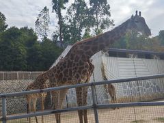 -泉州海丝野生动物世界