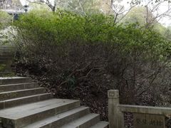 -苏州上方山国家森林公园