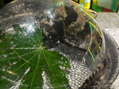 -ONE FULL 古董港式海鲜火锅