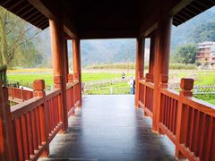 -靖西鹅泉风景区