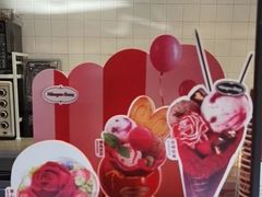 -哈根达斯(朝阳大悦城店)