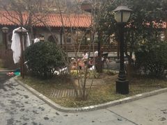 -麦积山温泉