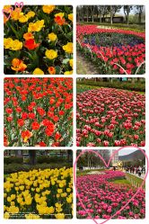 -玄武湖景区-情侣园游乐场