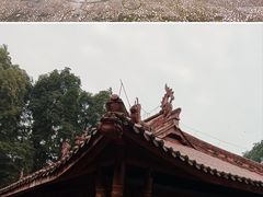 -都江堰普照寺