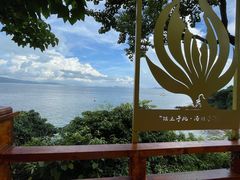-杨梅坑