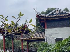 -顺峰山公园