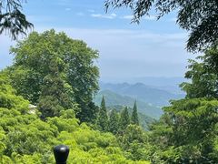 -莫干山风景区