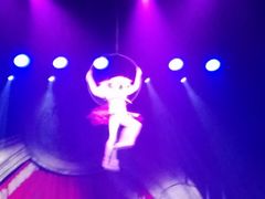 -珠海横琴长隆《卡卡虎奇遇记》