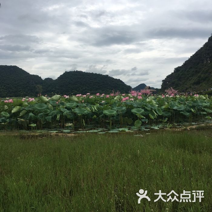菜花箐苗族生态旅游村