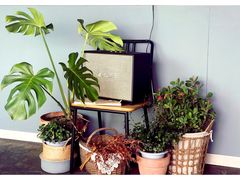 大堂-Cafe Rooftop Cheongsapo