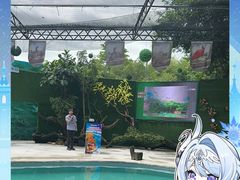 -广州长隆飞鸟乐园