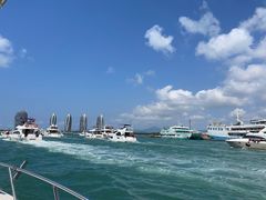 -小猫钓鱼海钓俱乐部(椰梦长廊店)