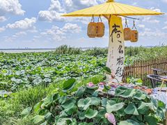 -七的湖·晚芳亭·阳澄湖农家菜·大闸蟹(莲花岛店)