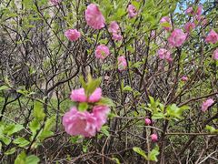 -那些年记忆烧烤