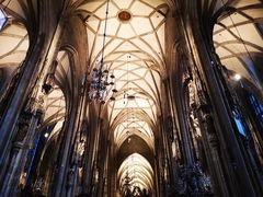 -斯蒂芬主教座堂(Stephansdom)