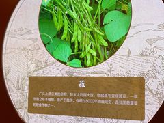 -北京古代建筑博物馆