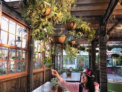 -The Grounds of Alexandria